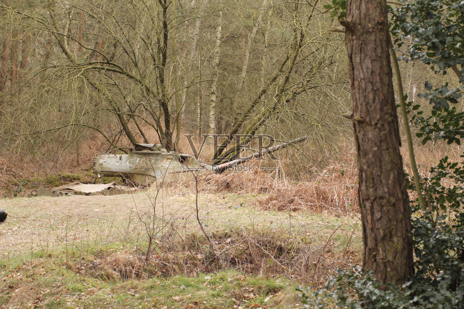 废弃的坦克照片摄影图片