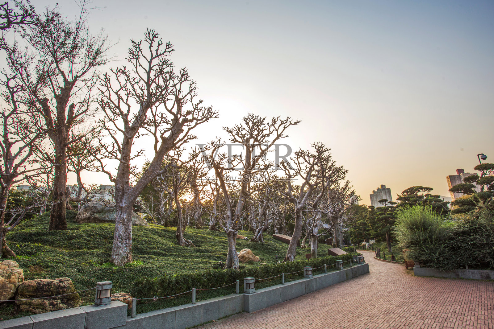 Nan-Lian花园照片摄影图片