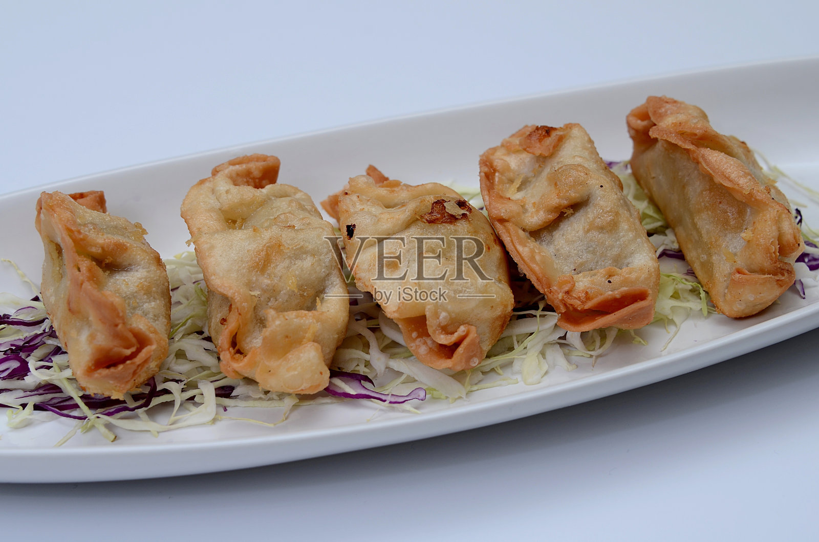 越南菜。插图。照片摄影图片