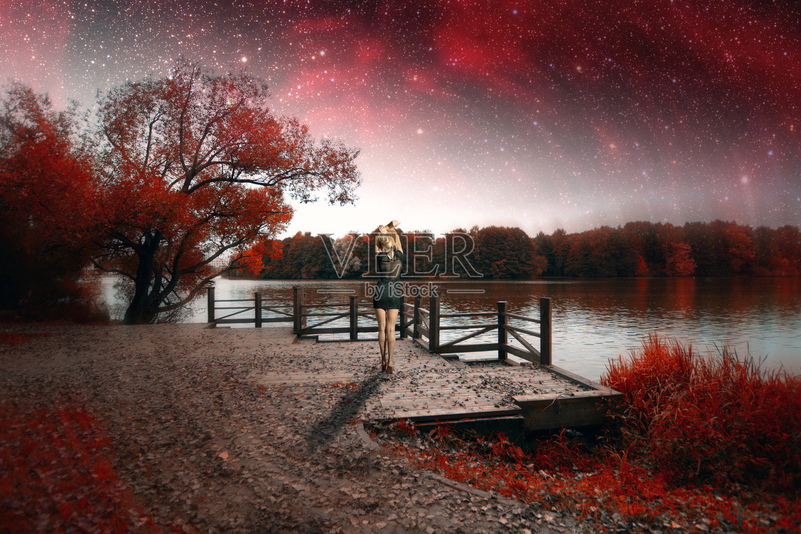 春夜红外摄影。这个图像的元素照片摄影图片