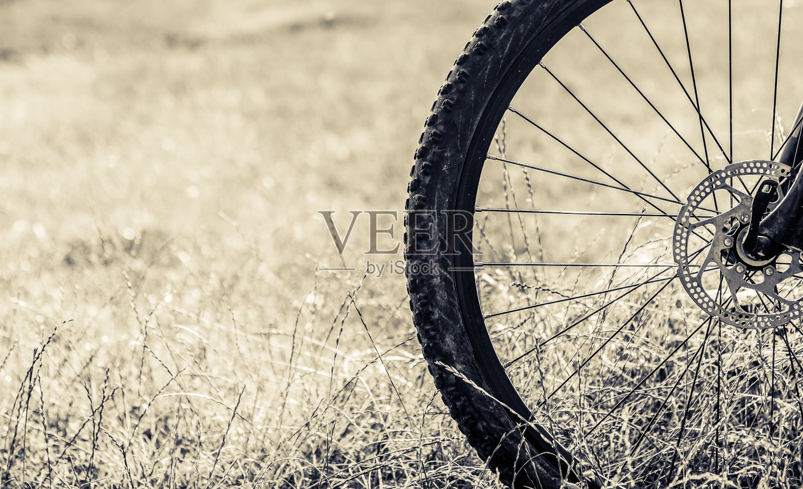 自行车车轮照片摄影图片