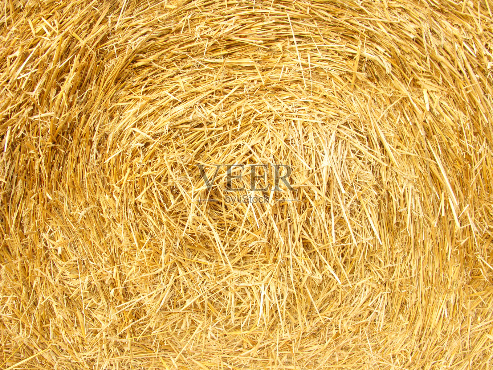 金色稻草纹理背景，特写照片摄影图片