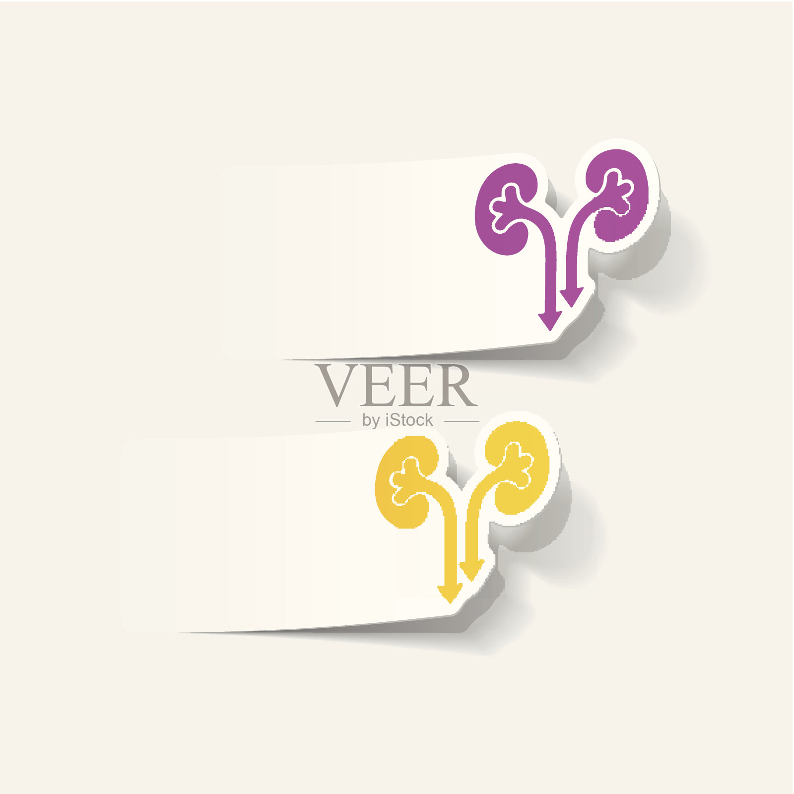 现实设计元素:肾脏，医学插画图片素材