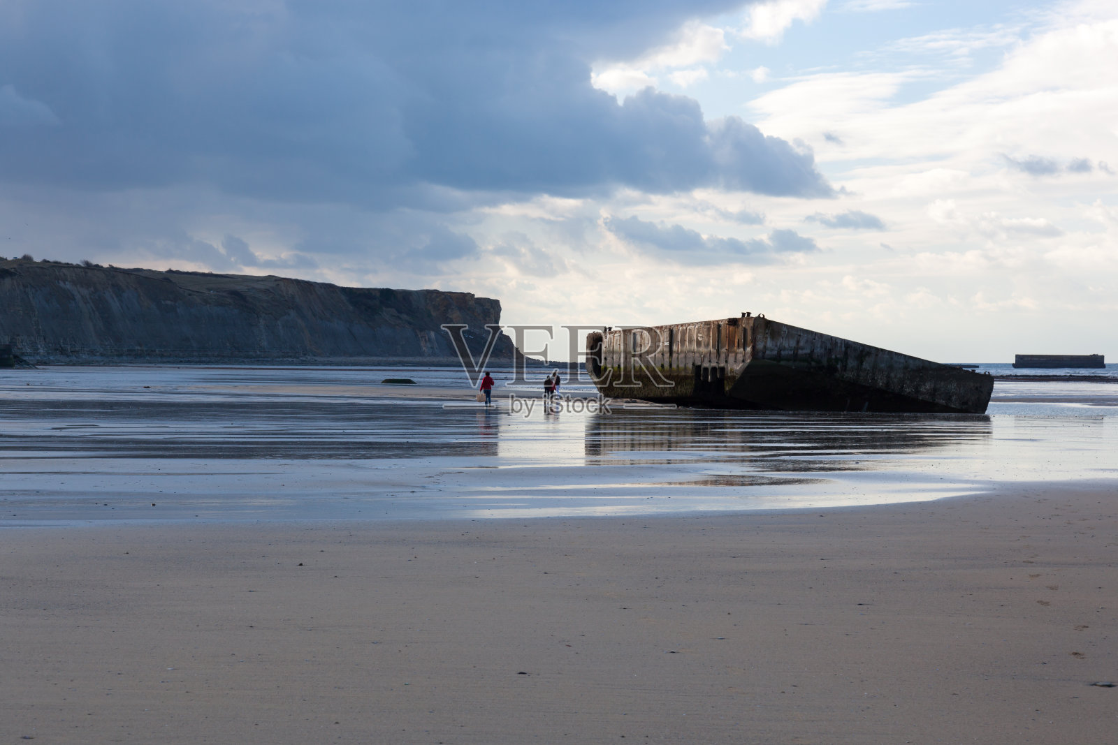 桑树港口照片摄影图片