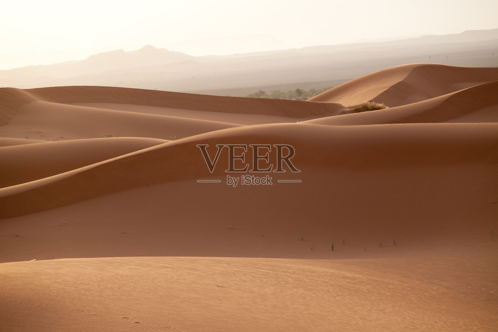 埃尔格切比沙漠照片摄影图片