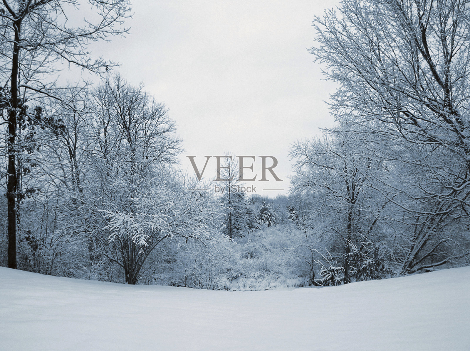 下雪的景色照片摄影图片