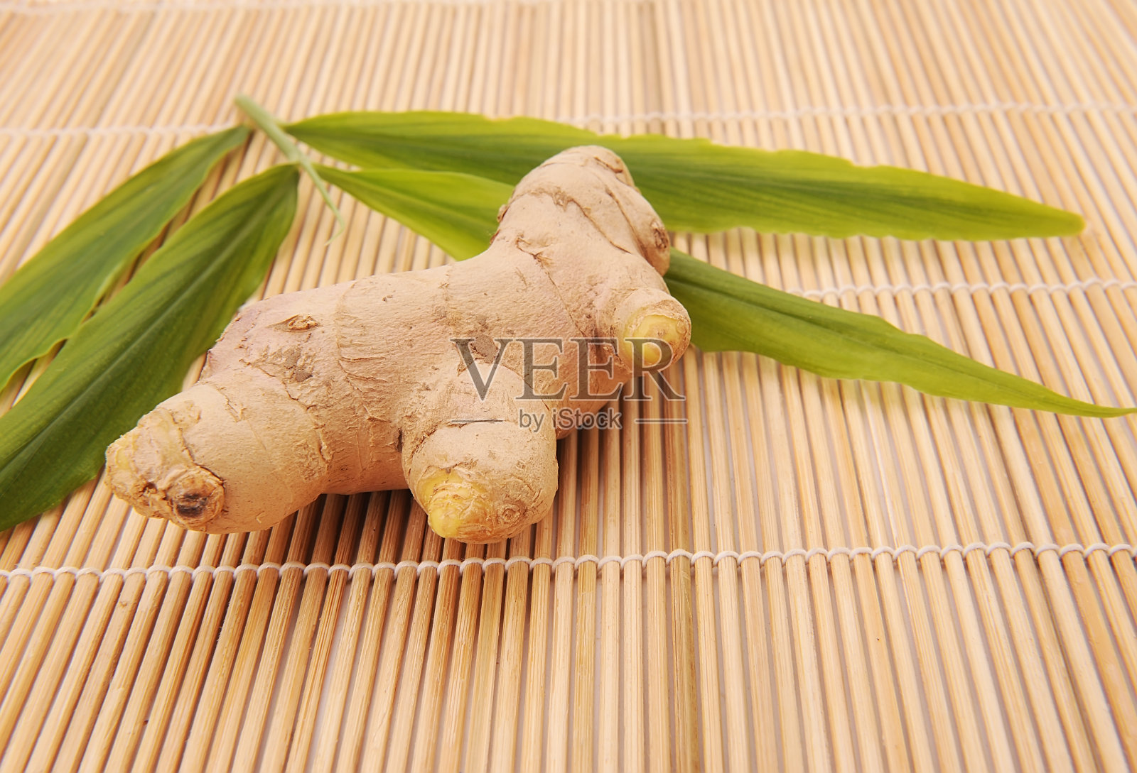 姜照片摄影图片