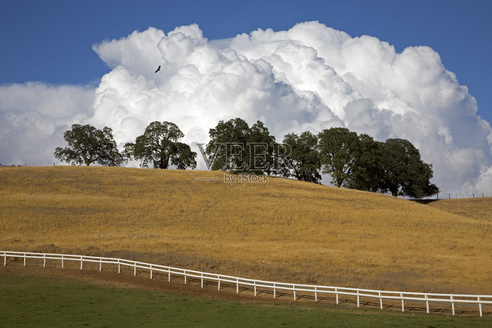白色的栅栏照片摄影图片