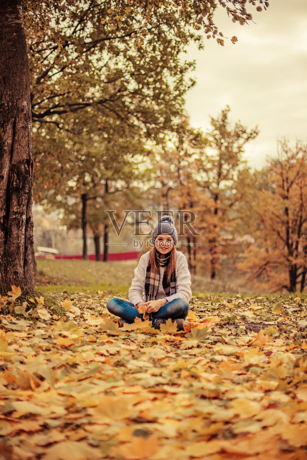 肖像。照片摄影图片