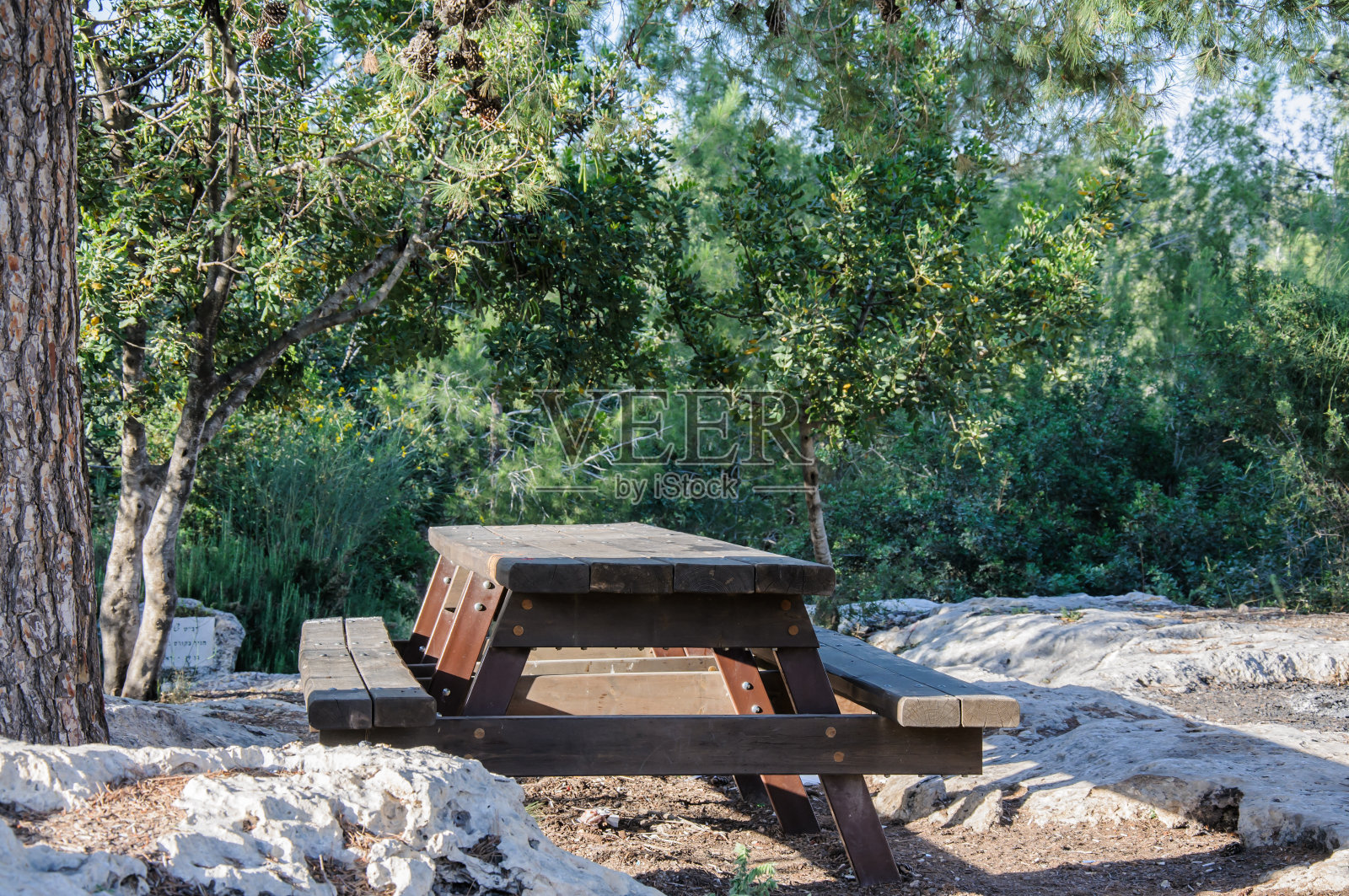空木野餐桌照片摄影图片