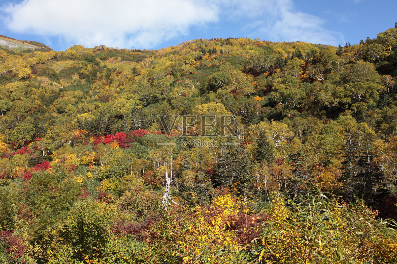 秋天山风景区照片摄影图片