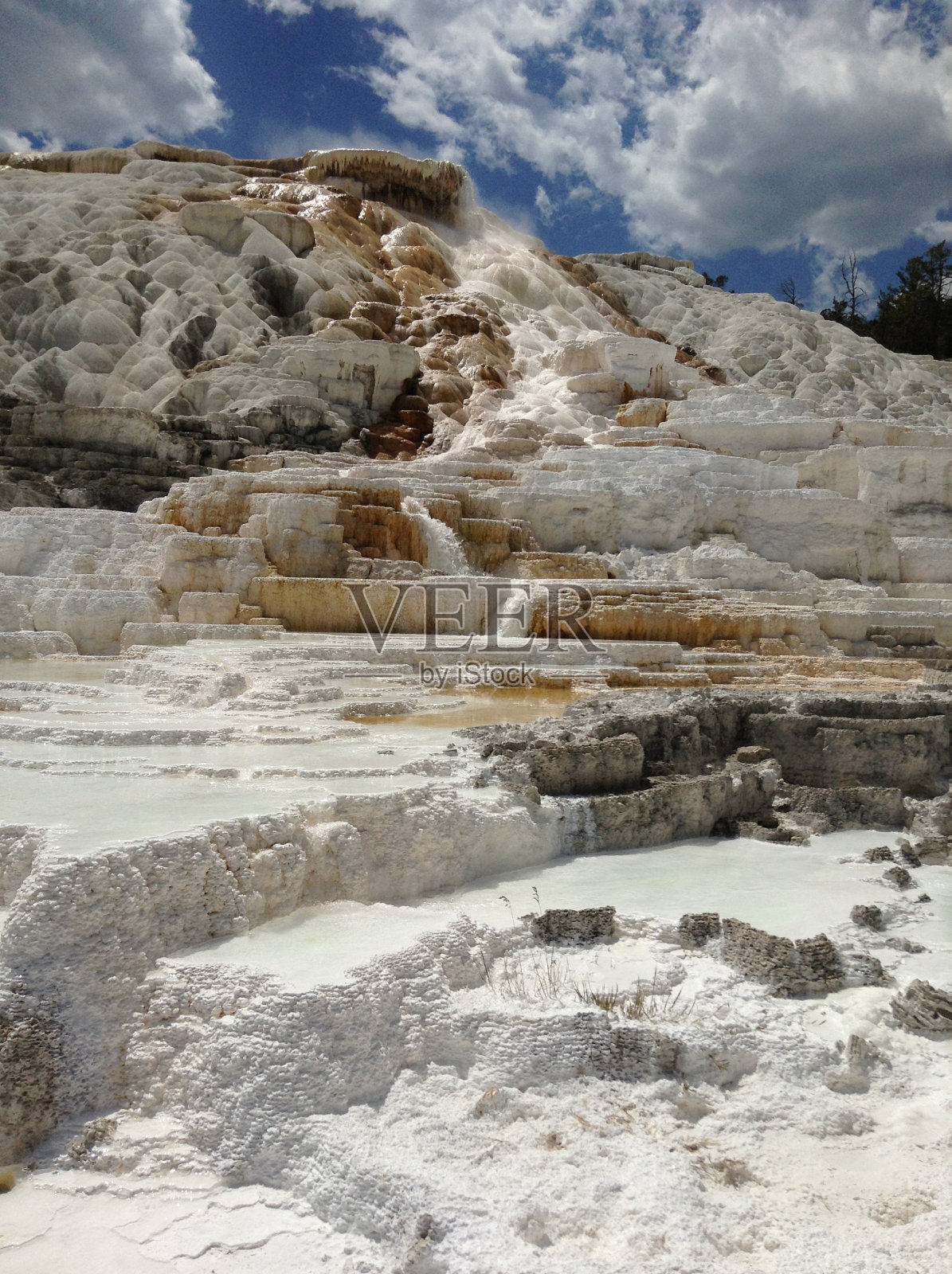 猛犸,黄石公园照片摄影图片