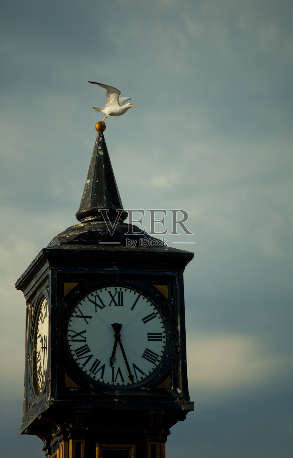 鸟从钟楼上飞下来照片摄影图片