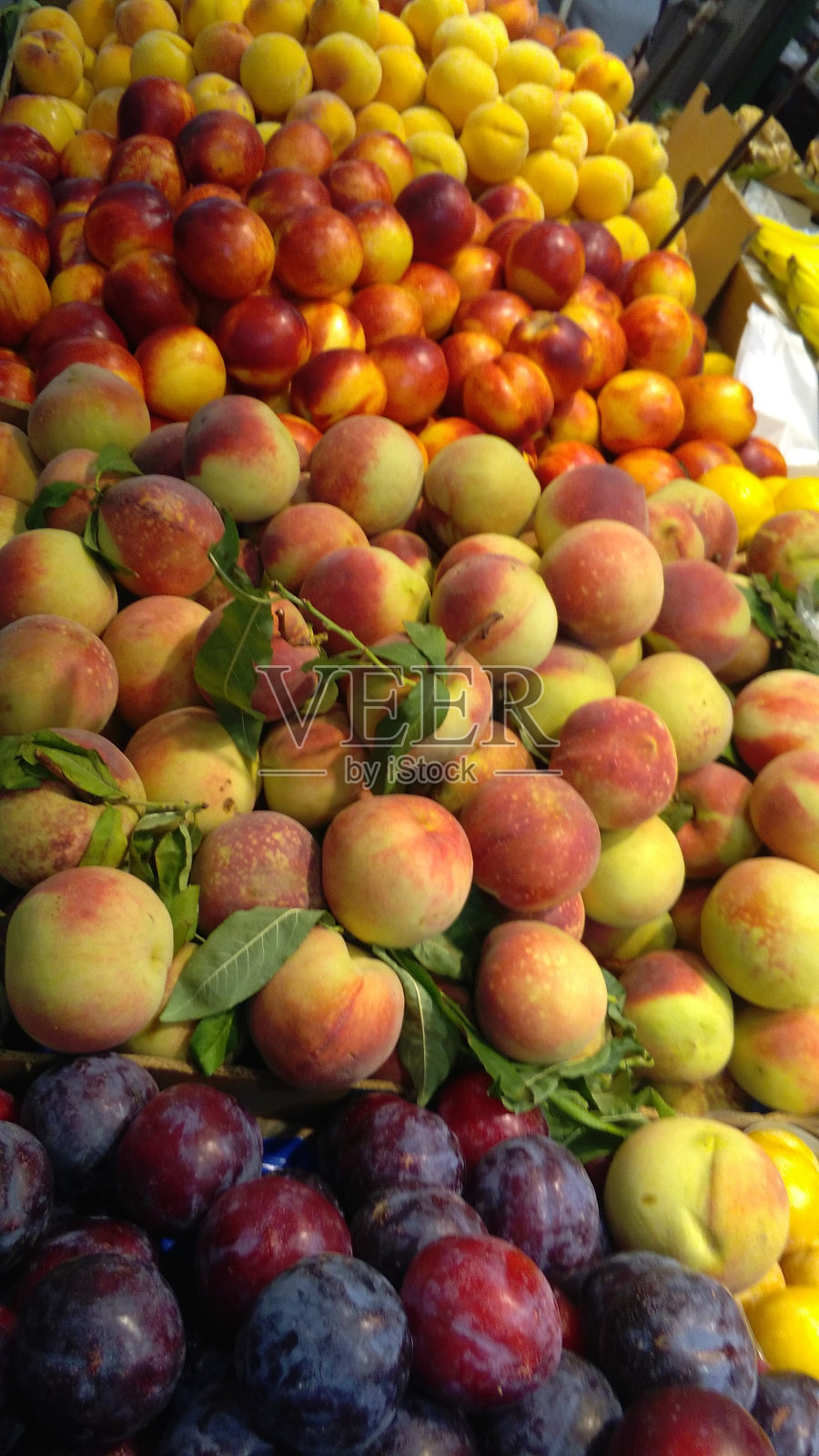 展出新鲜桃子照片摄影图片