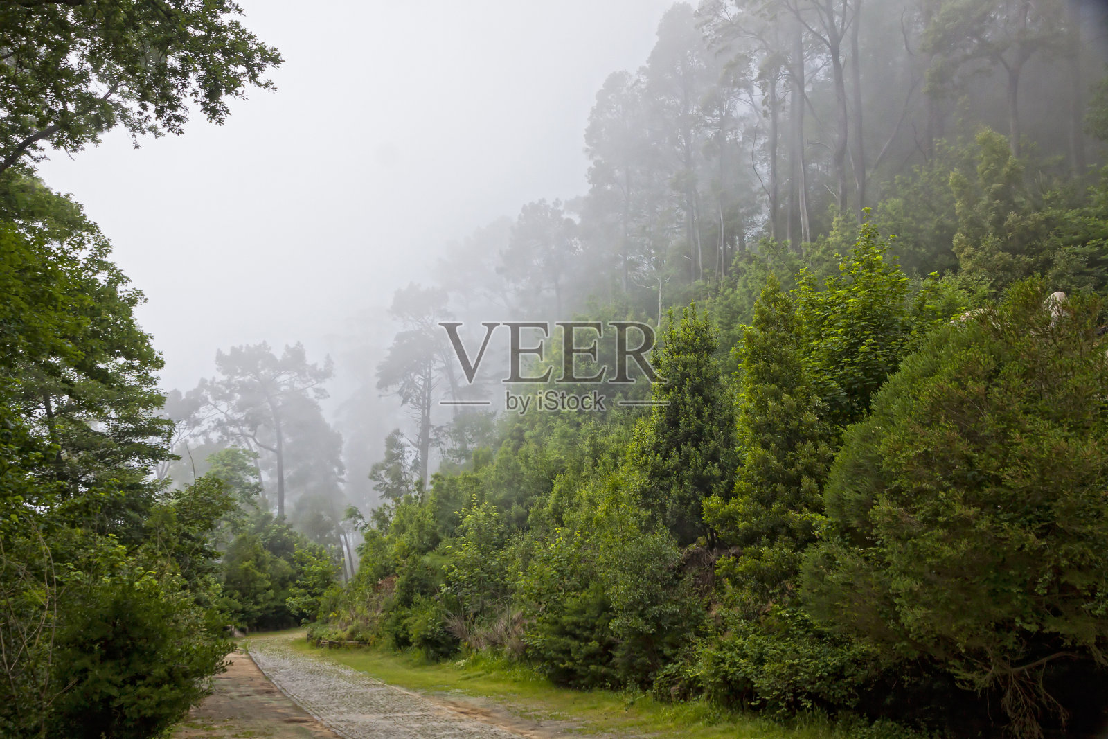 葡萄牙辛特拉佩纳国家公园照片摄影图片