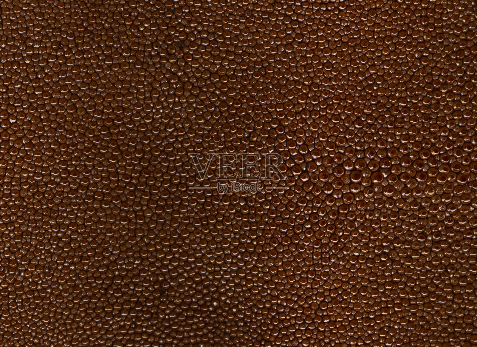 黄貂鱼照片摄影图片