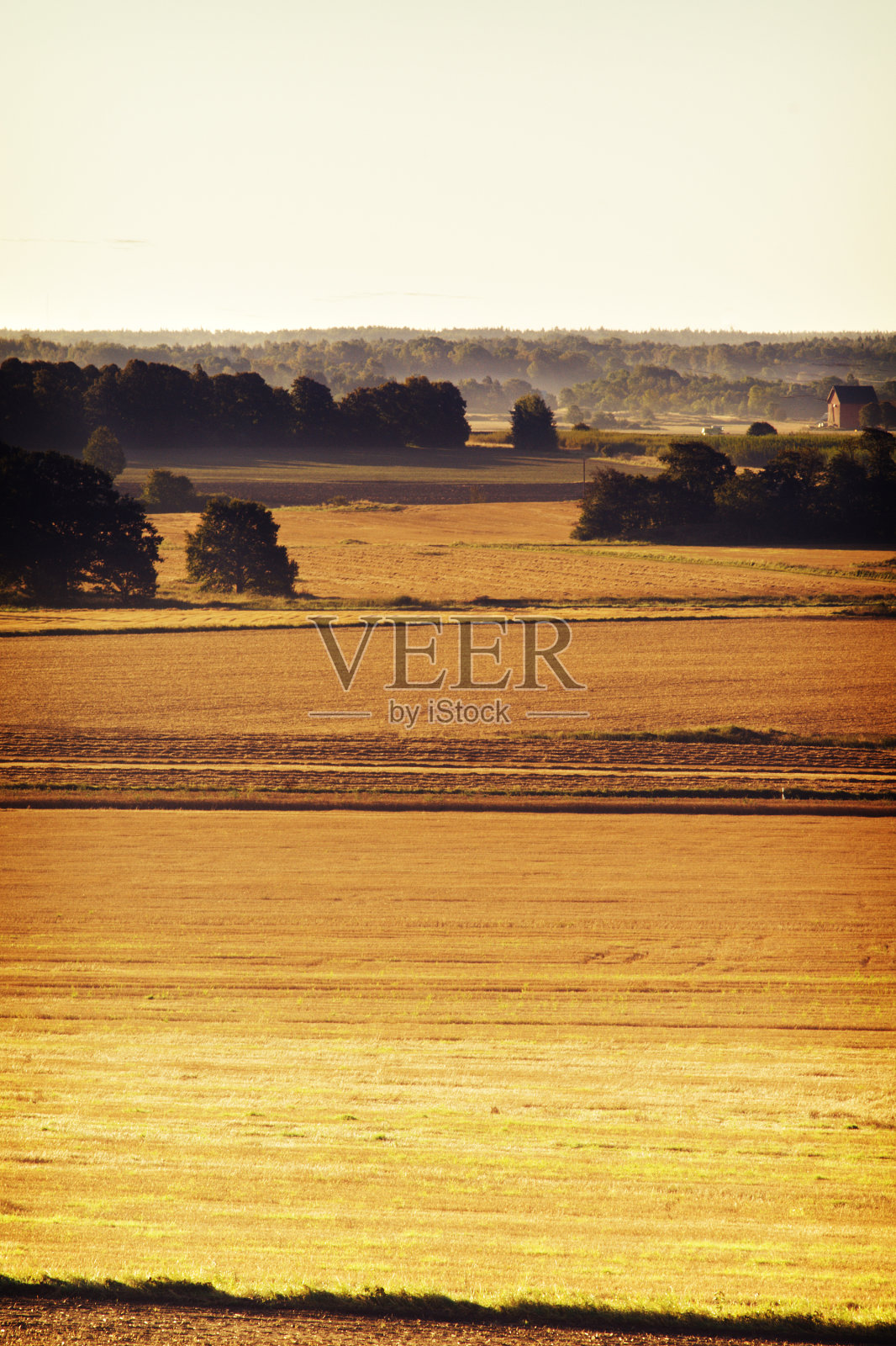 农业领域照片摄影图片