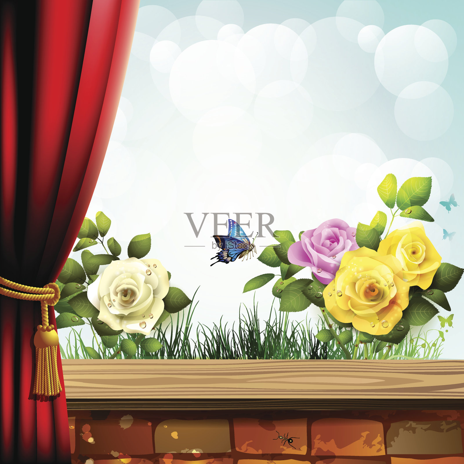 有红窗帘的花园玫瑰插画图片素材