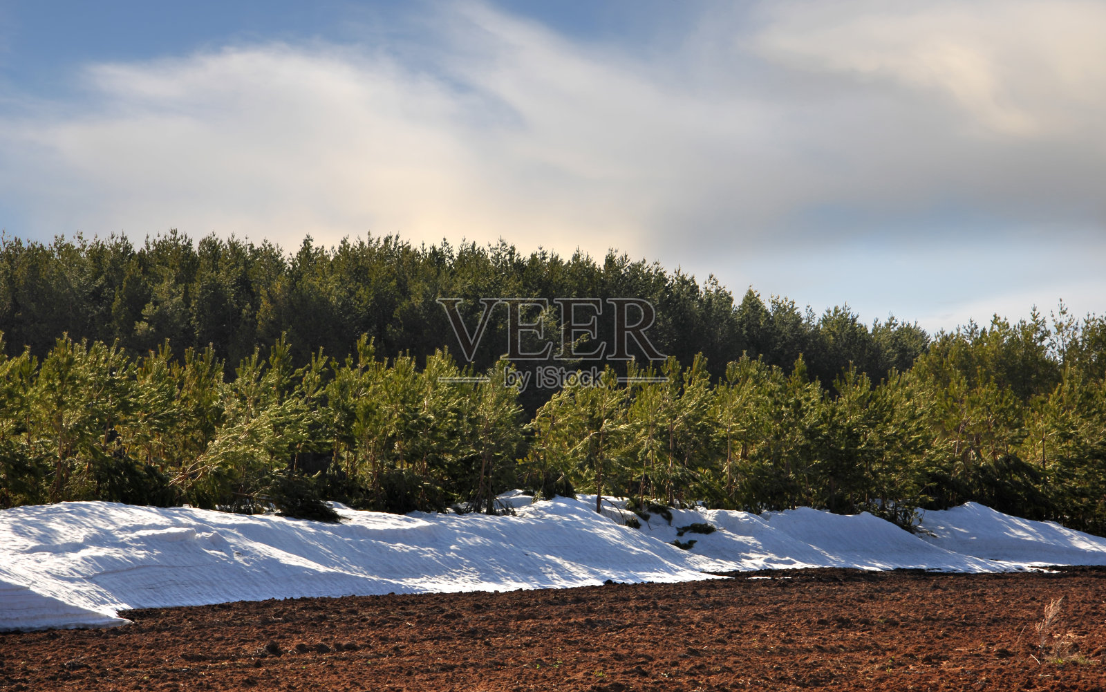 春天照片摄影图片
