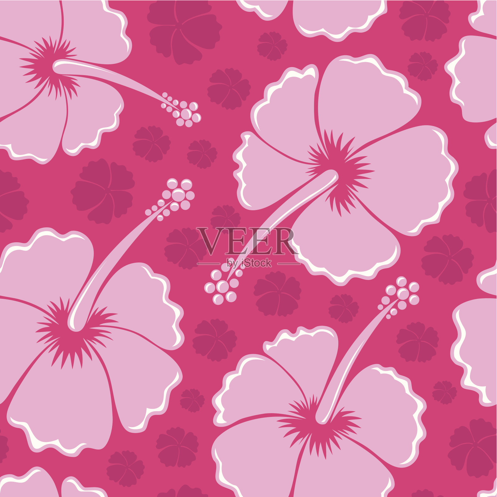 芙蓉无缝背景3插画图片素材