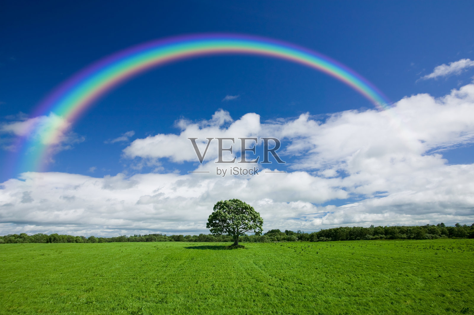 绿野上的彩虹照片摄影图片