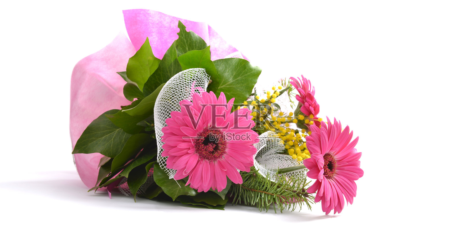 束非洲菊照片摄影图片