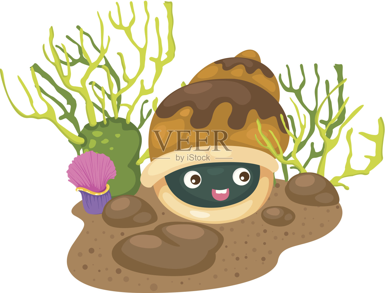 珊瑚和贝壳设计元素图片