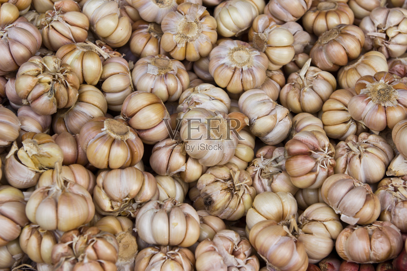 许多白色大蒜出售照片摄影图片