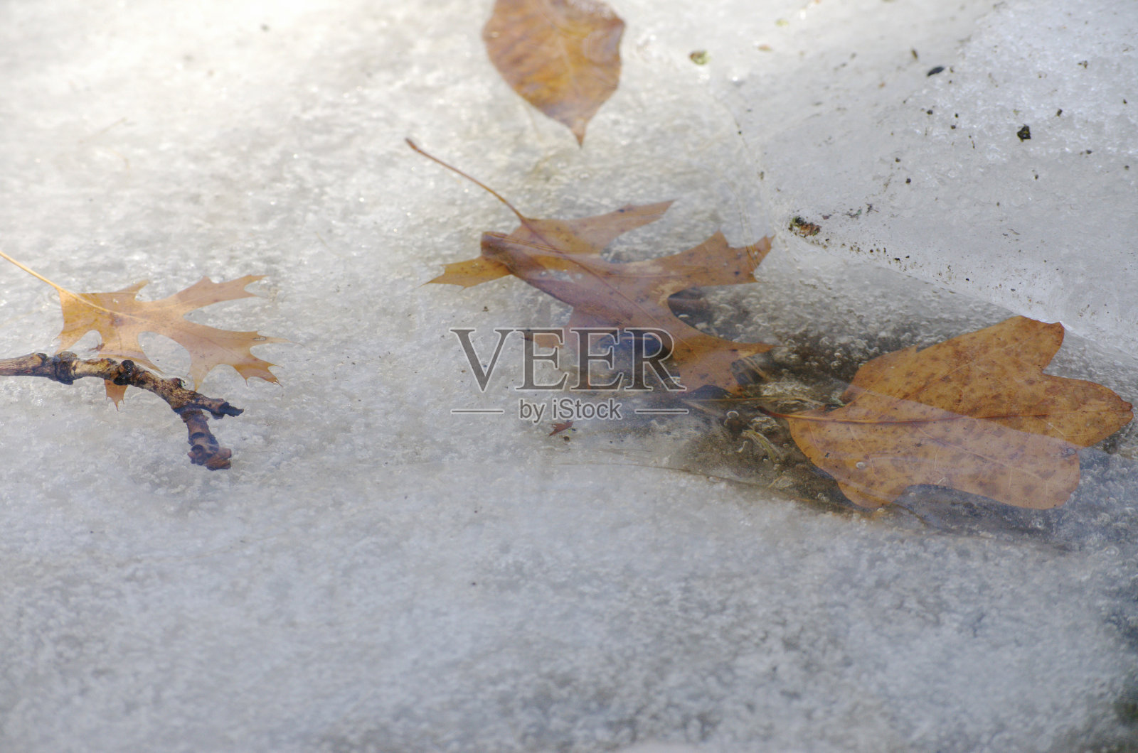 发现了照片摄影图片