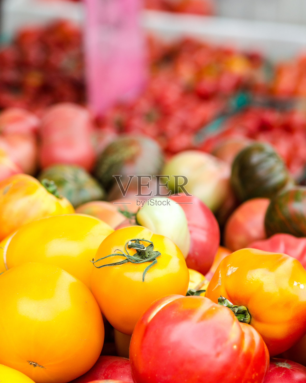 多色番茄的照片摄影图片
