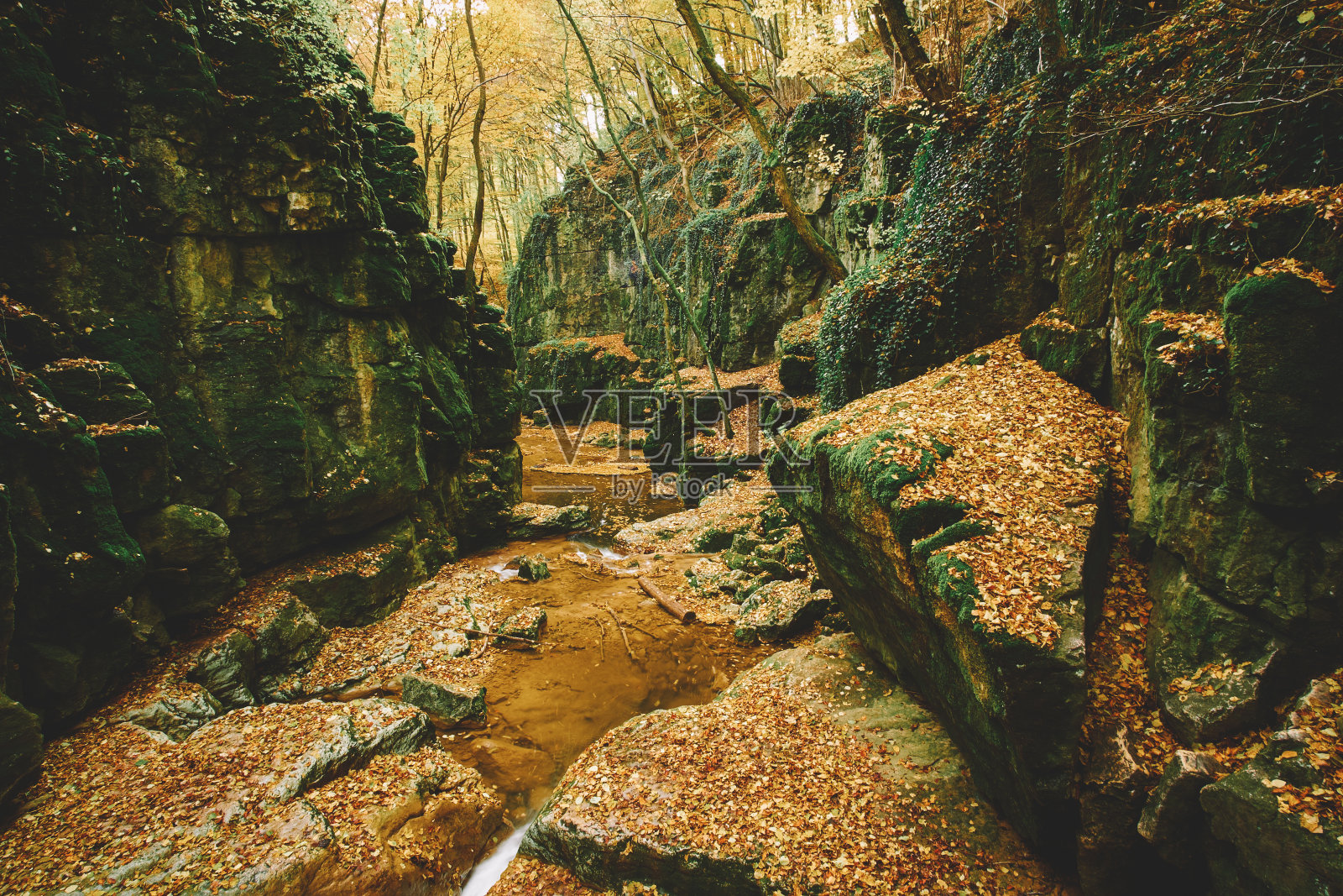 流中谷照片摄影图片