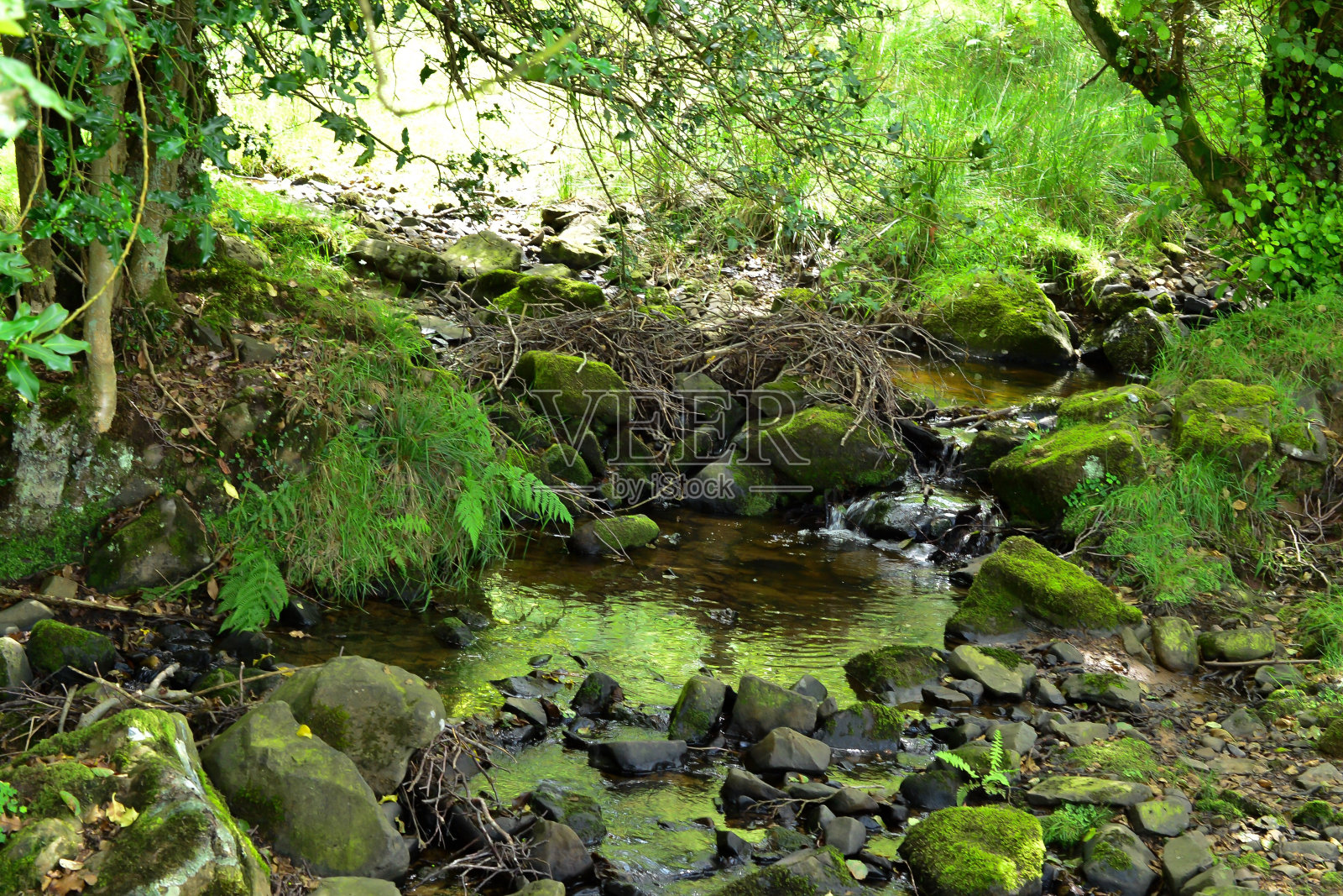牙牙学语含糊不清地说照片摄影图片