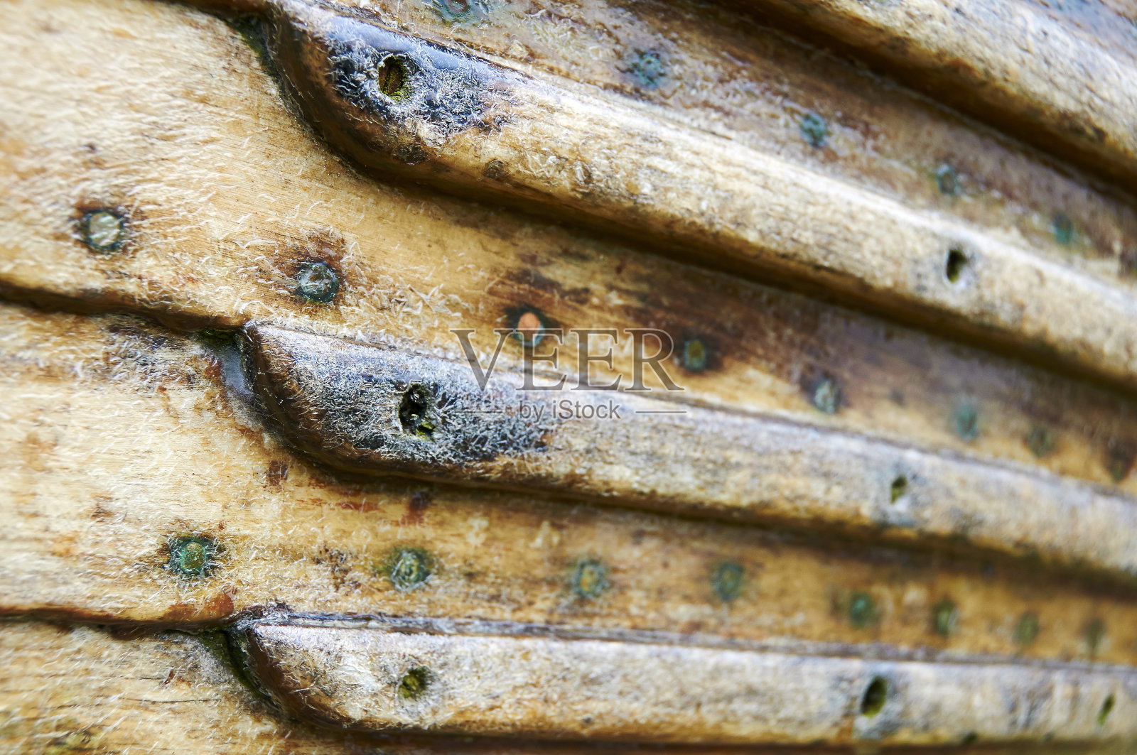 木照片摄影图片