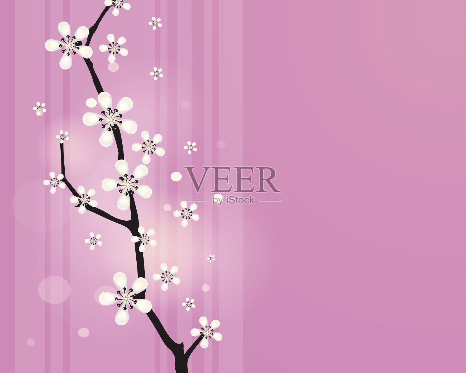 樱桃树枝插画图片素材