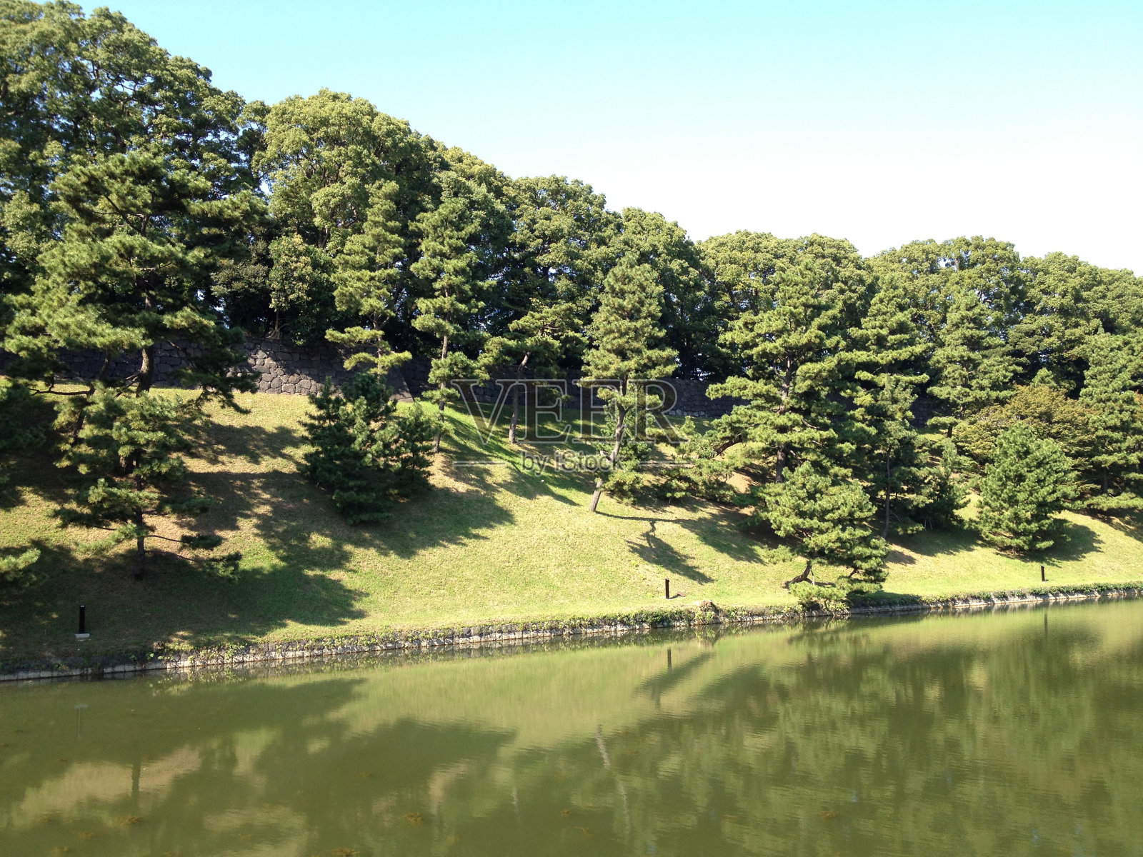 东京，草，树，水，天空照片摄影图片
