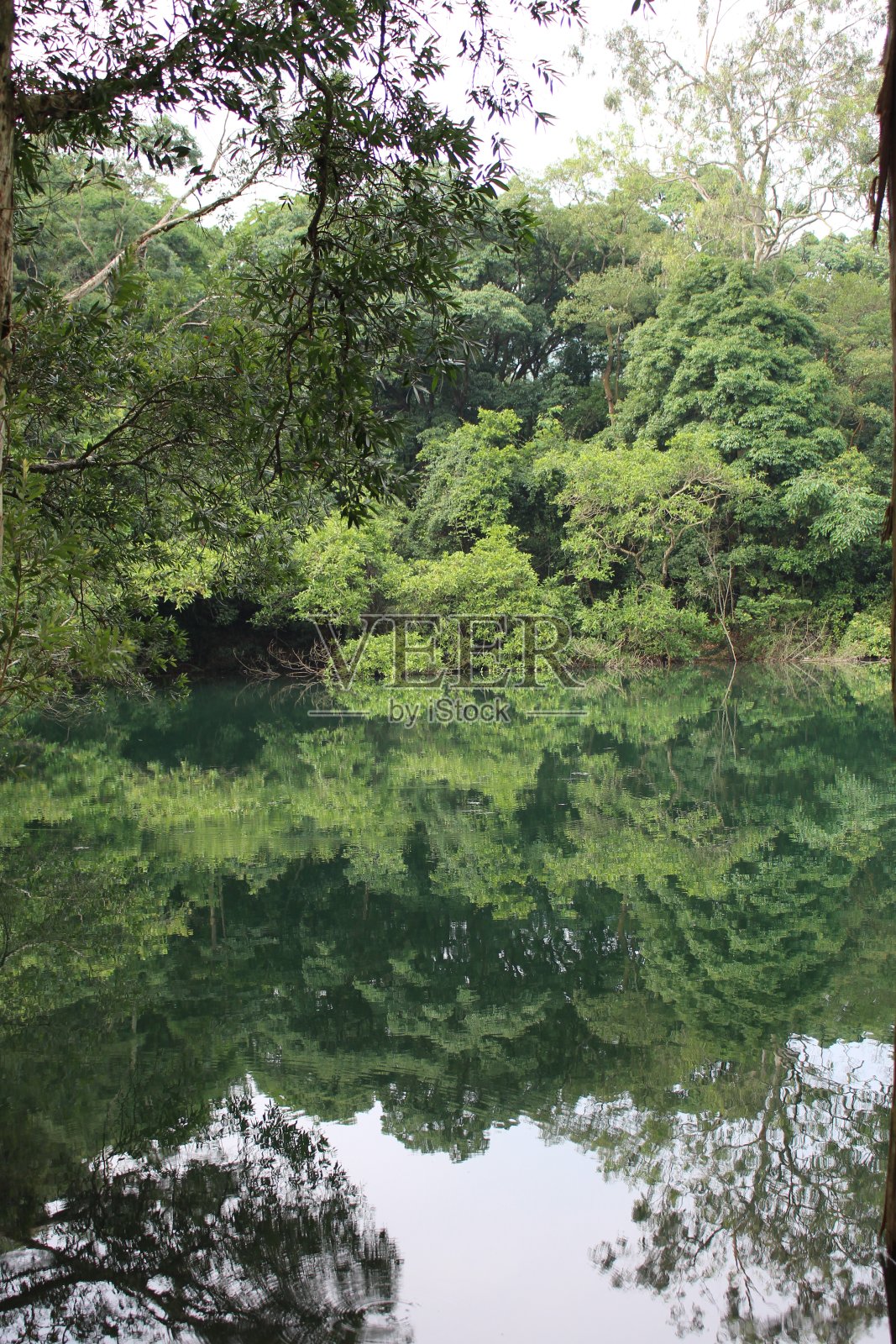 山与树的倒映照片摄影图片