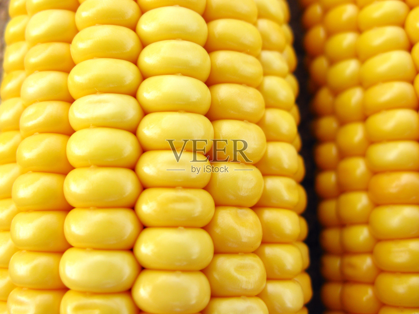 玉米穗轴照片摄影图片