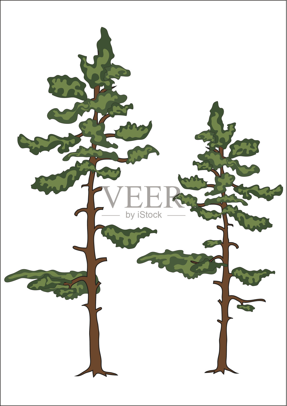 孤立的针叶树在白色背景上1设计元素图片