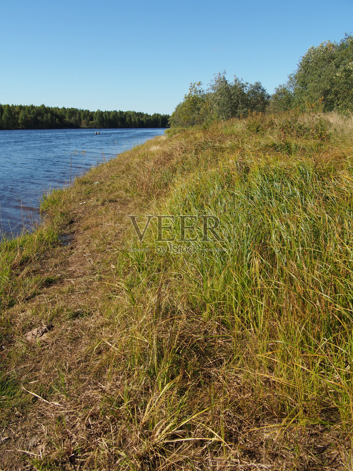 夏天的俄罗斯河照片摄影图片