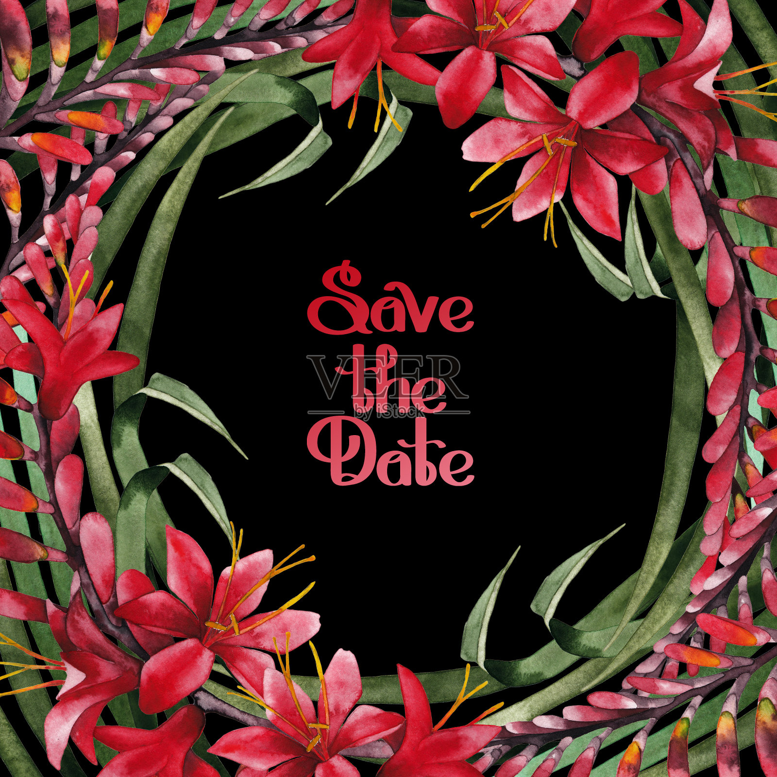 水彩crocosmia设计设计模板素材