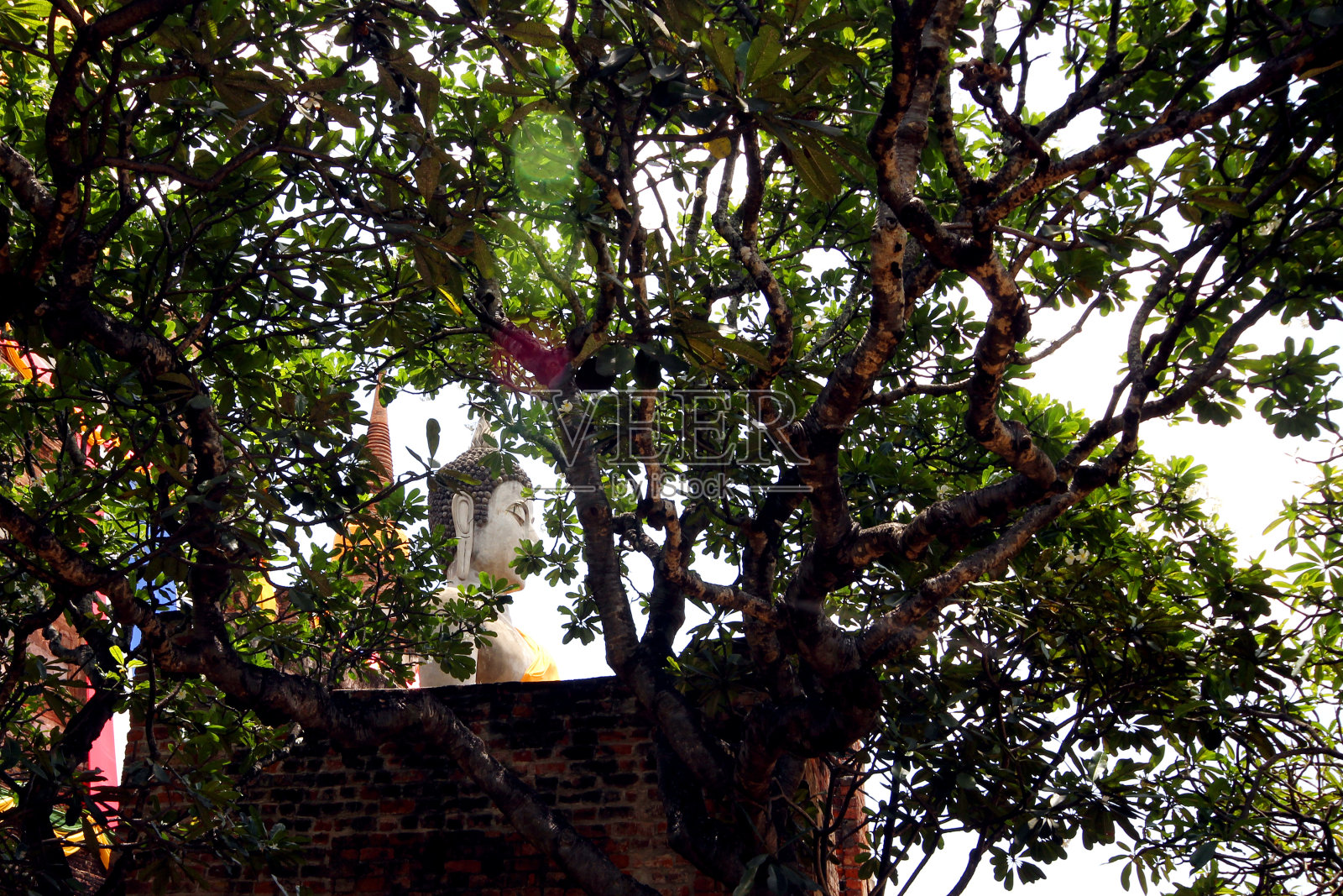 佛的形象照片摄影图片