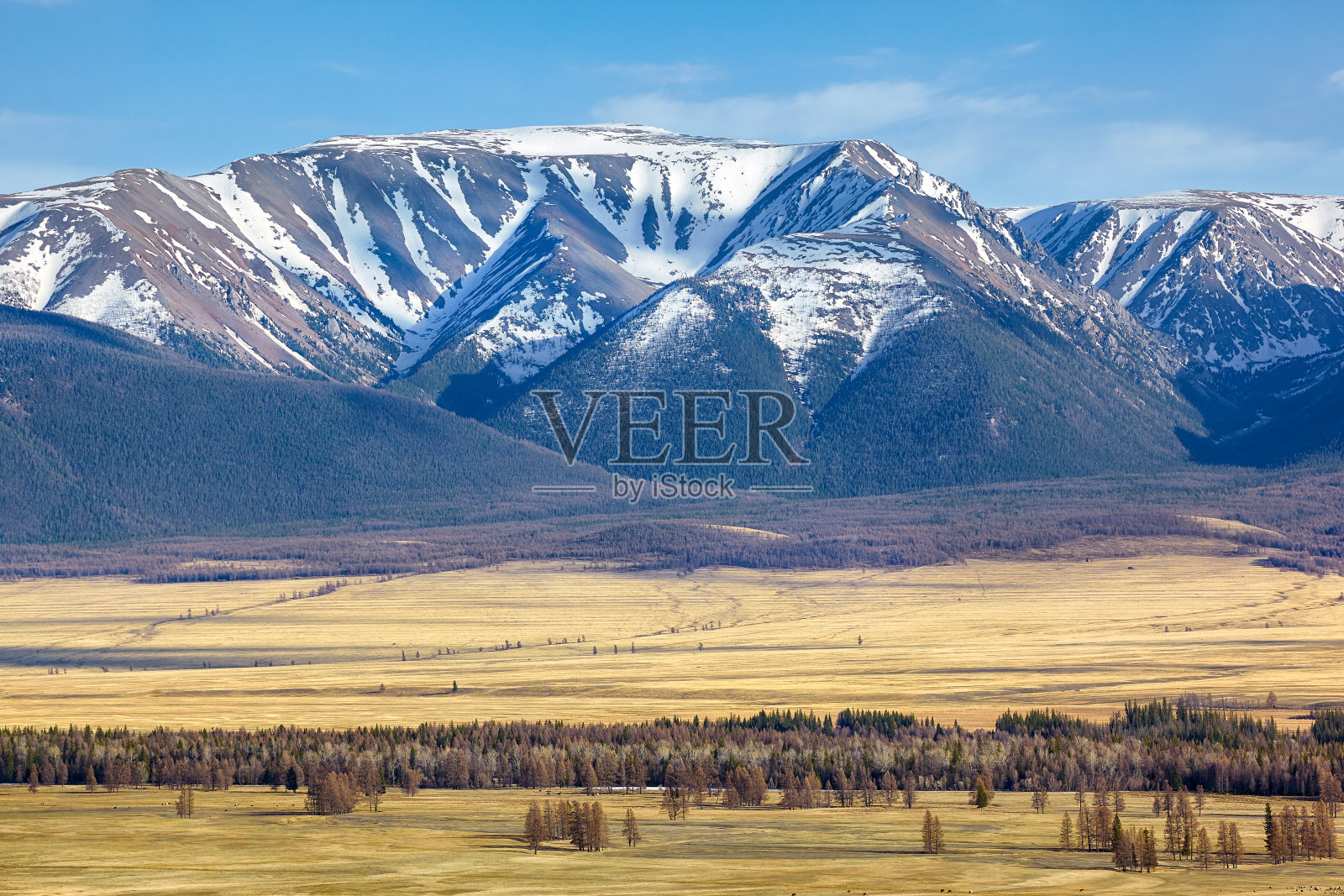 在阿尔泰山库赖地区有北丘伊斯基岭照片摄影图片