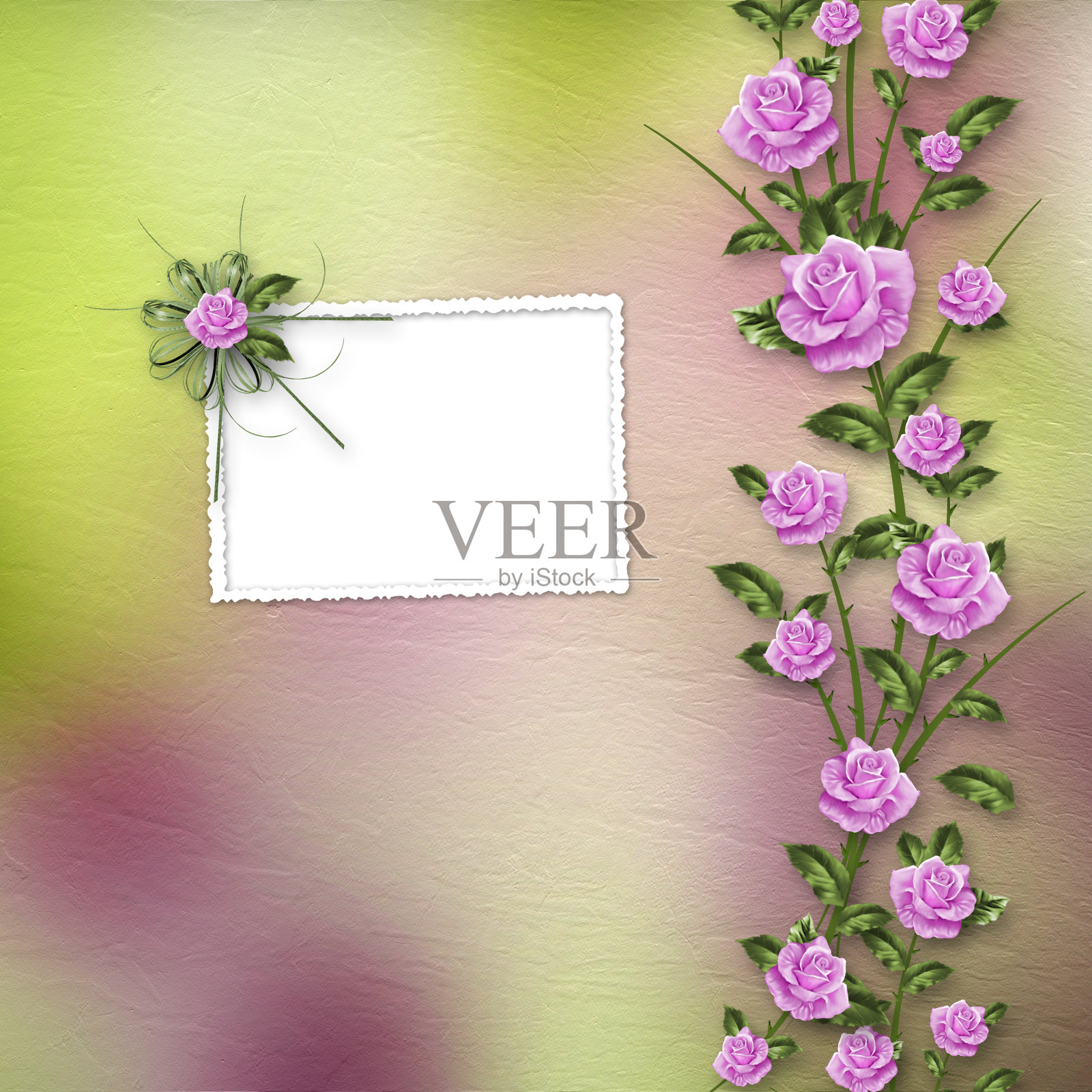 在柔和的背景上画美丽的玫瑰花束照片摄影图片