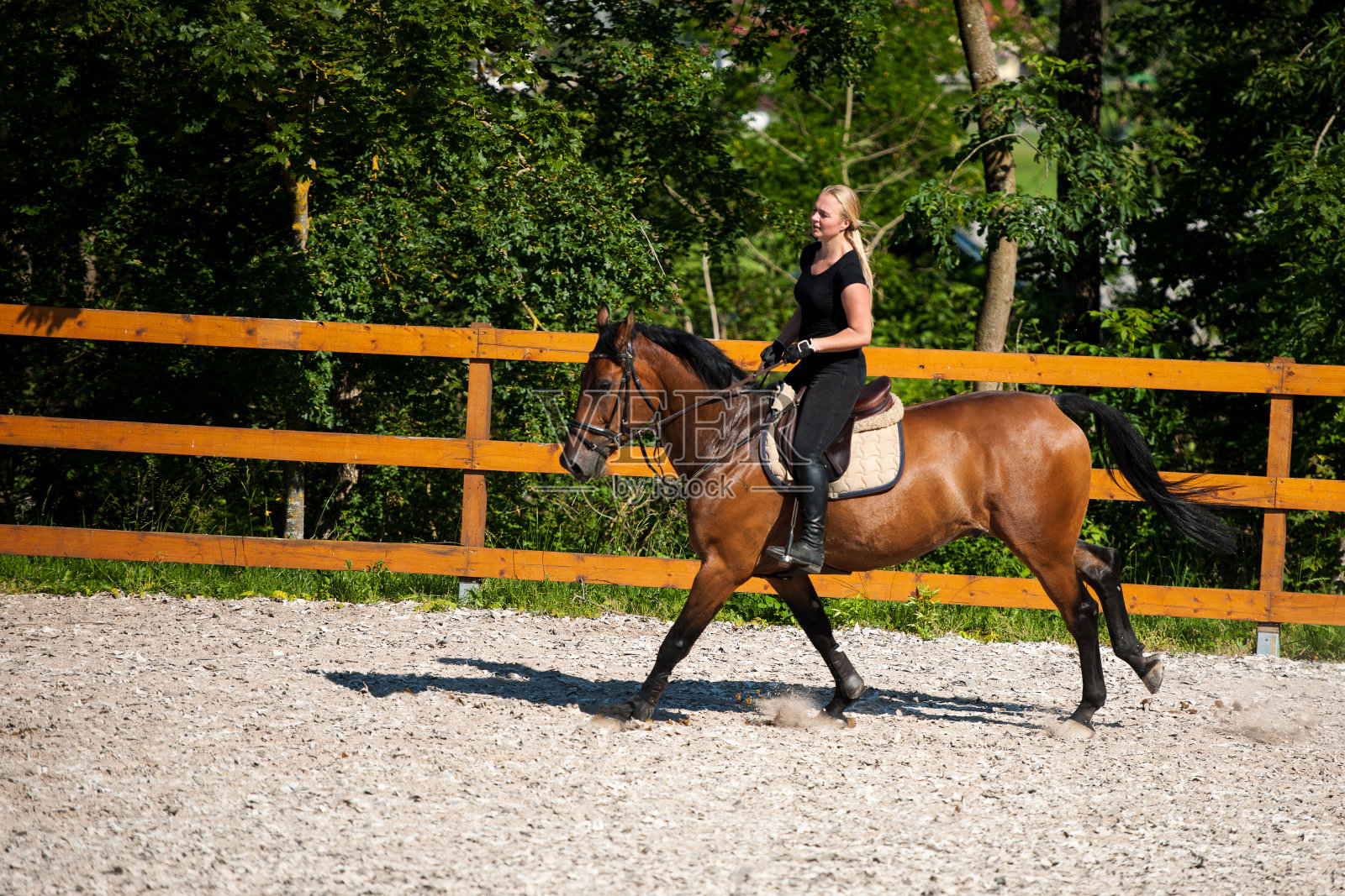 骑着马的金发美女照片摄影图片