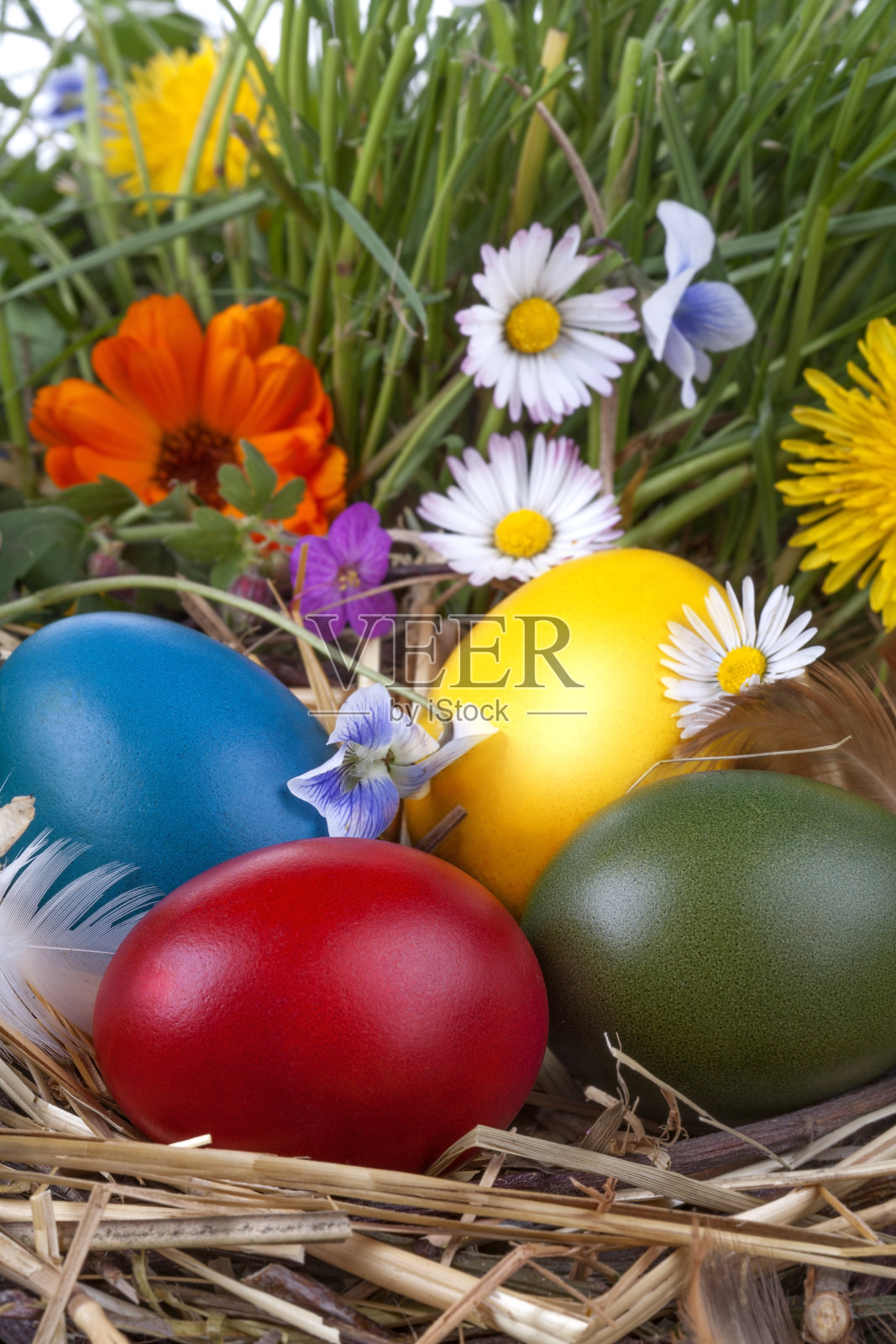 复活节彩蛋照片摄影图片