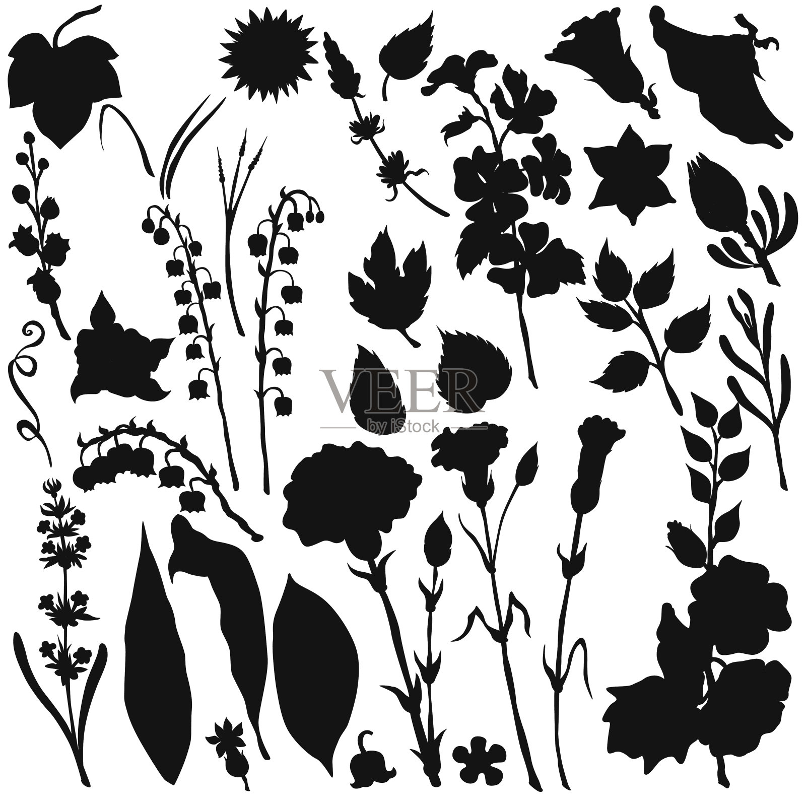 矢量剪影不同的花插画图片素材