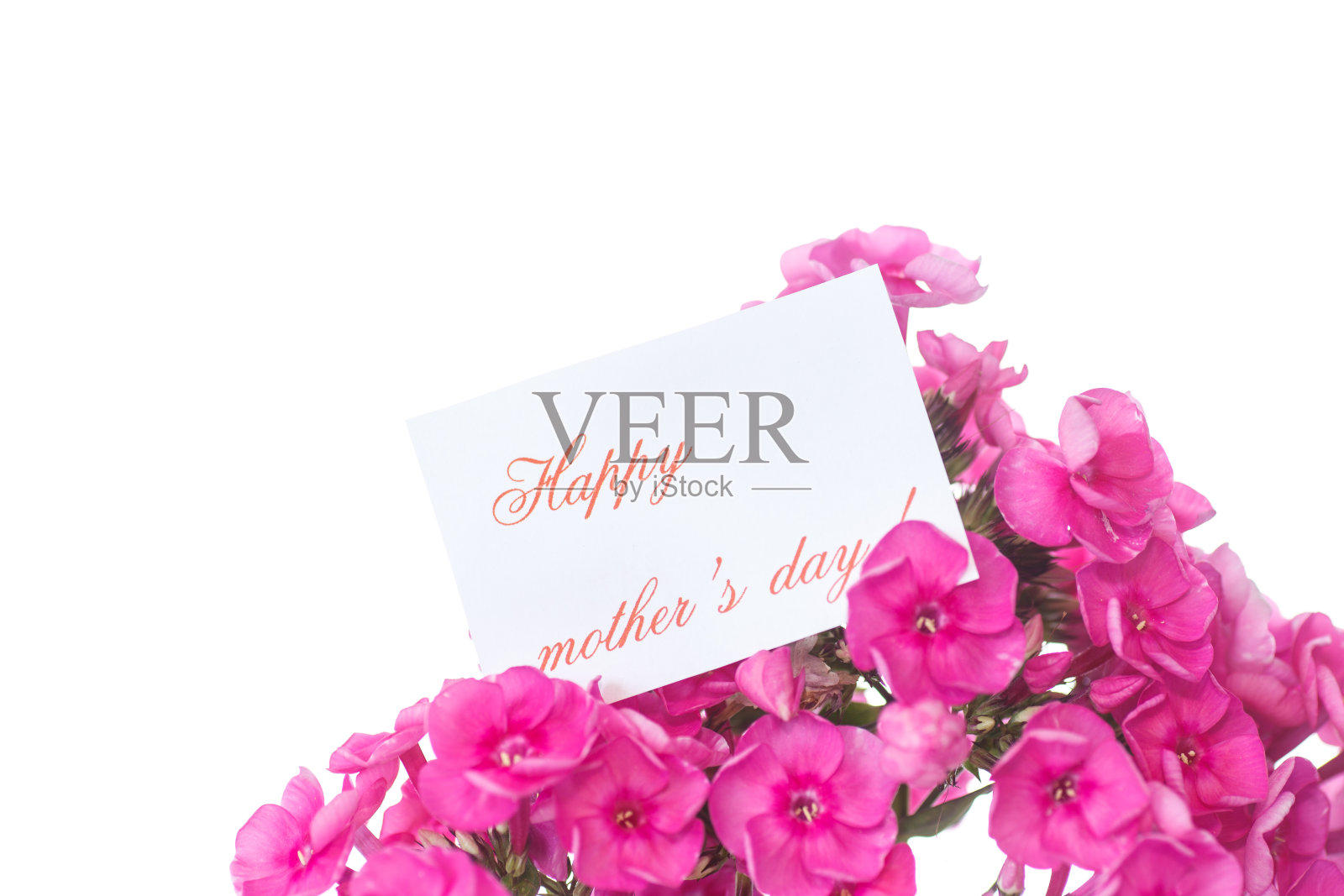 绣球花照片摄影图片