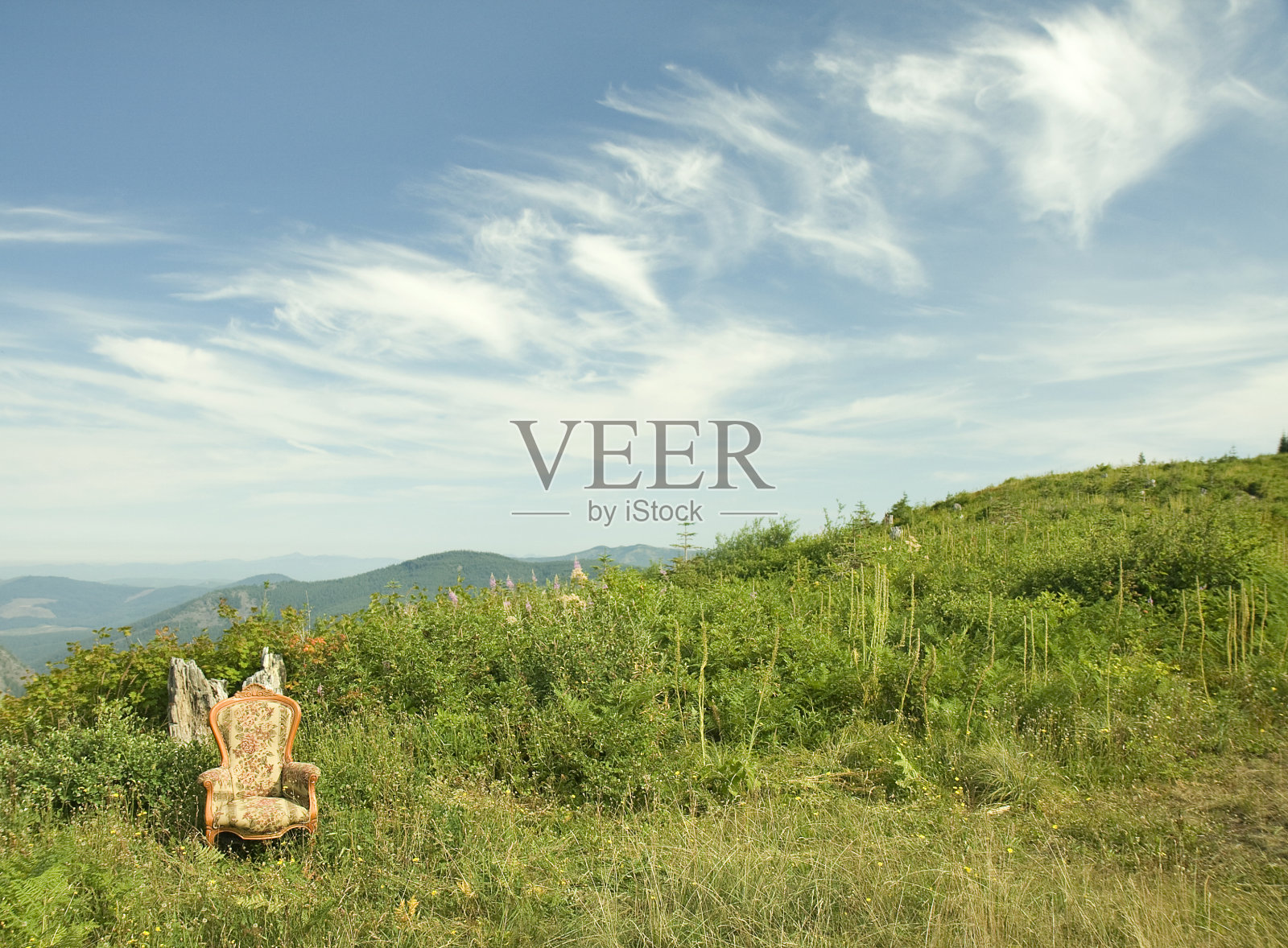 草地上的扶手椅照片摄影图片