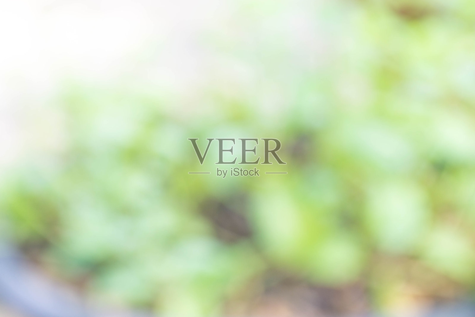 抽象的背景照片摄影图片