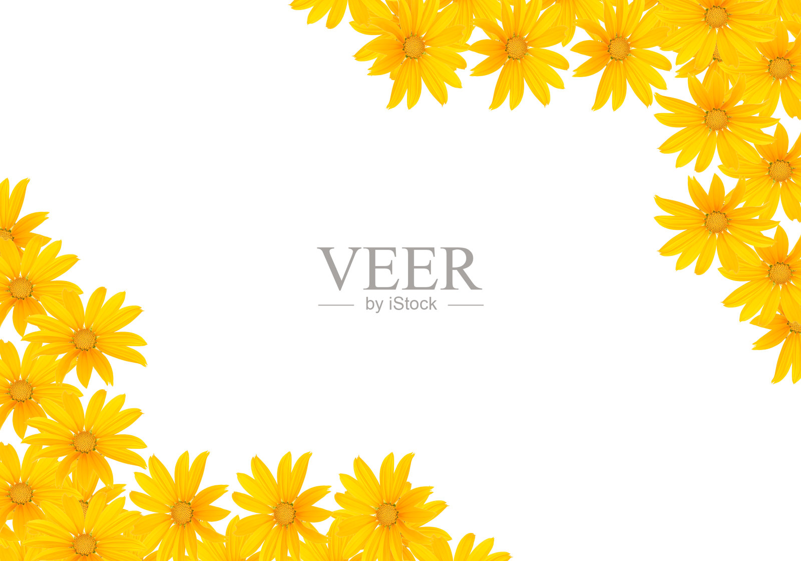 花的背景照片摄影图片